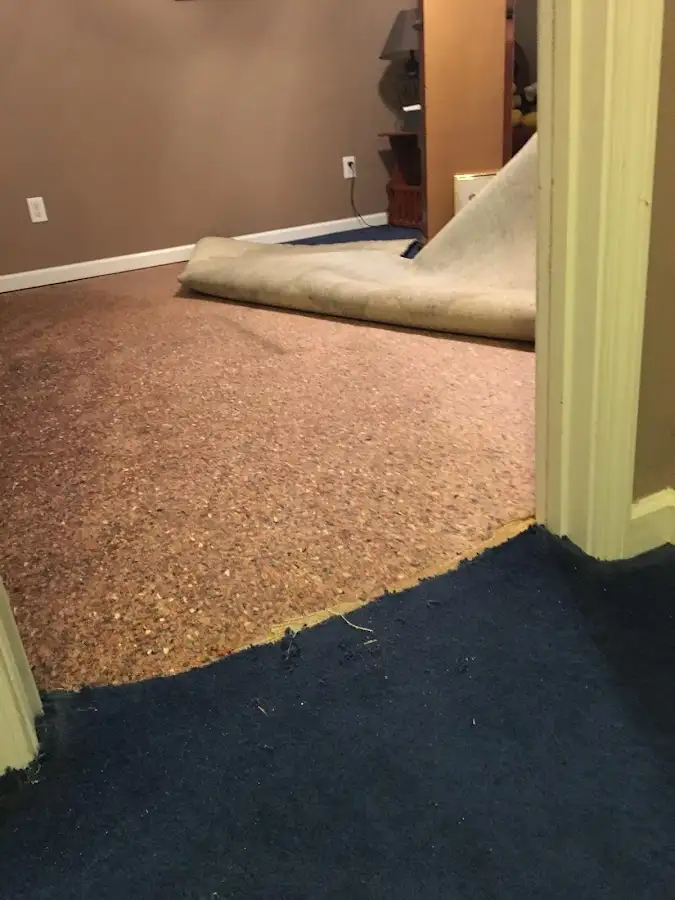 Carpet pad removal revealing water damage during Drying & Dehumidification in Pottsville